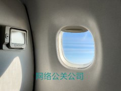 将自身品牌和产品推上了新的高峰