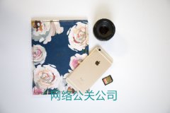 新闻公关策划创意技术之二—用奇与弄险