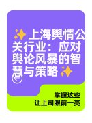 ✨上海舆情公关行业:应对舆论风暴的智慧与策略✨