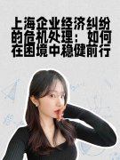 上海企业经济纠纷的危机处理:如何在困境中稳健前行