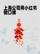 上海公司用小红书做口碑