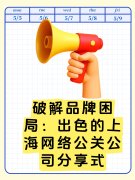 破解品牌困局:出色的上海网络公关公司分享